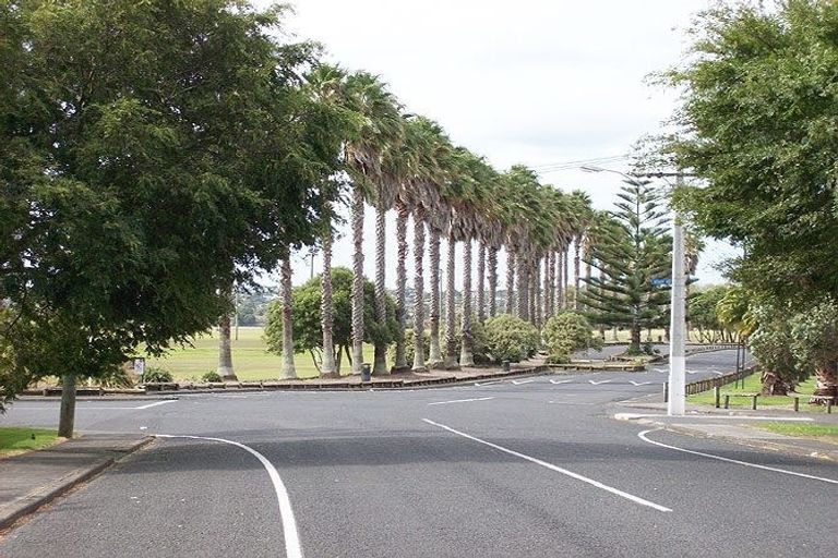 Photo of property in 2/250 Princes Street East, Otahuhu, Auckland, 1062