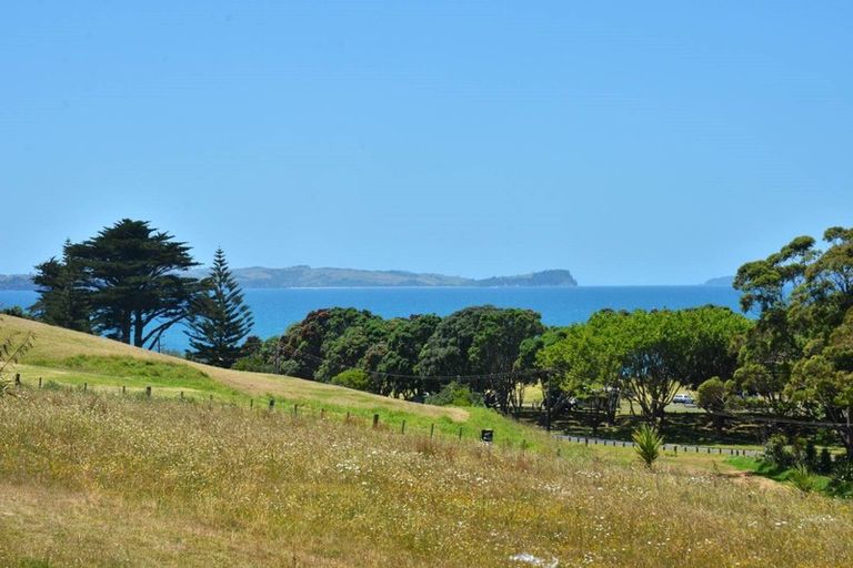 Photo of property in 11 Bearing Parade, Long Bay, Auckland, 0630