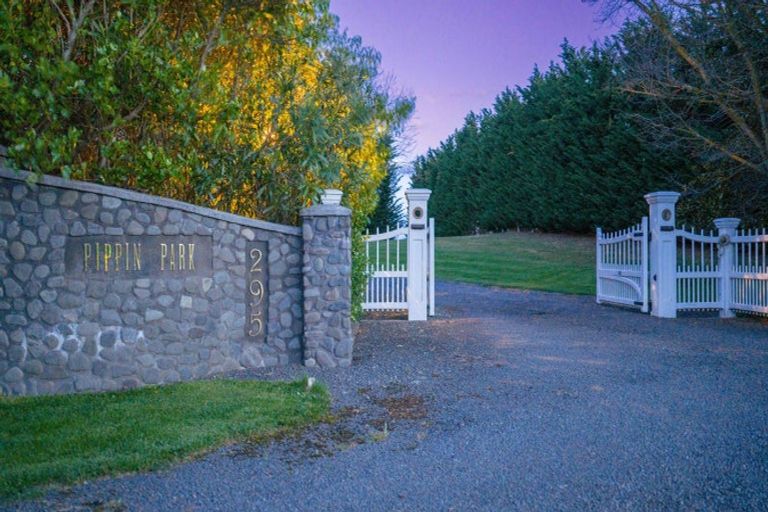 Photo of property in 295 Porangahau Road, Waipukurau, 4282