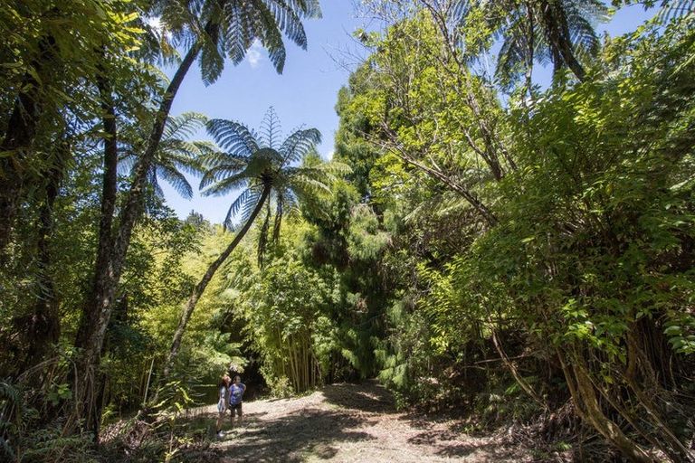 Photo of property in 425b Lund Road, Aongatete, Katikati, 3178