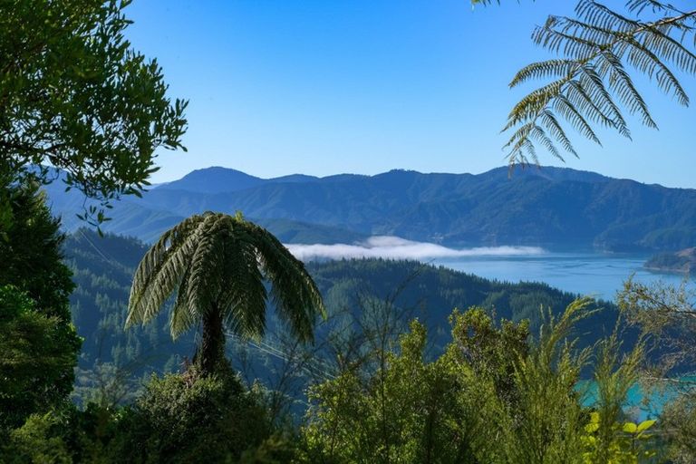 Photo of property in 2464 Port Underwood Road, Port Underwood, Picton, 7281