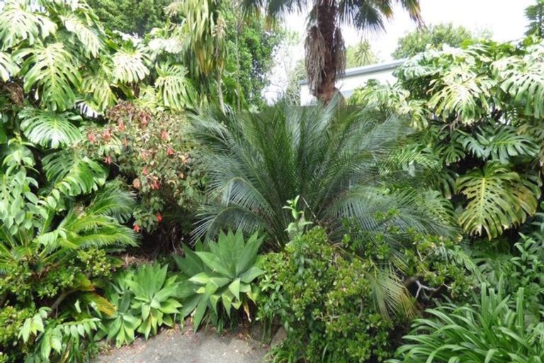 Photo of property in 6 Pounamu Place, Kerikeri, 0294
