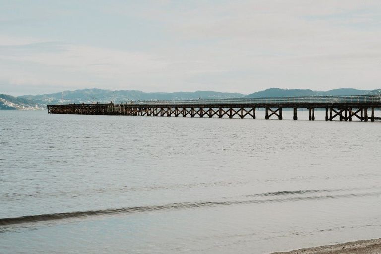 Photo of property in 73 Adelaide Street, Petone, Lower Hutt, 5012