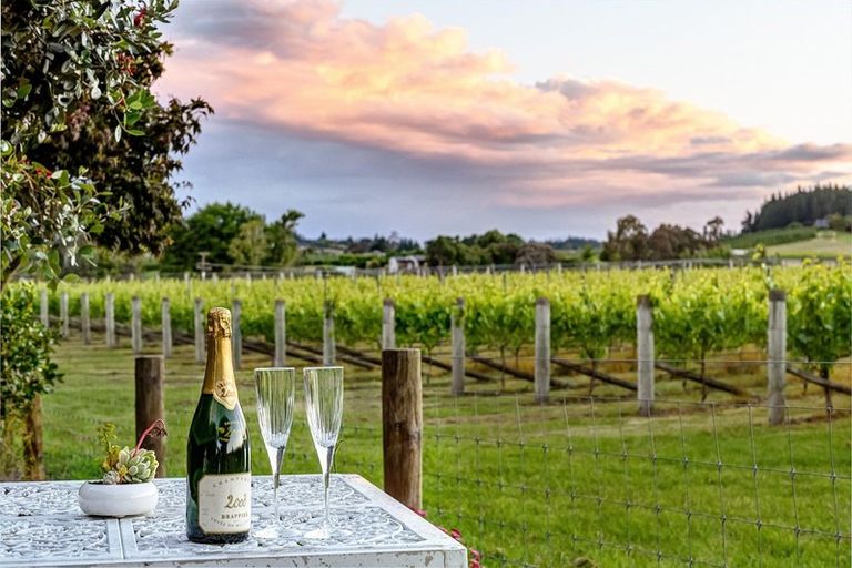 Photo of property in 17 Goddard Road, Tasman, Upper Moutere, 7173