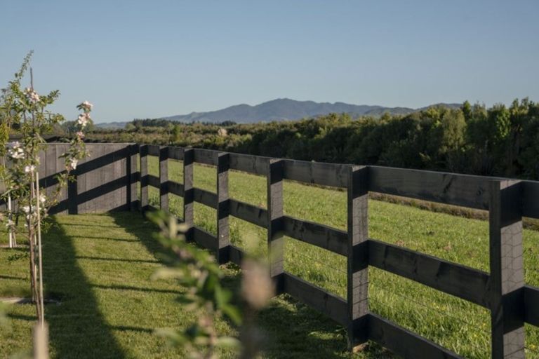 Photo of property in 11 Mike Smith Drive, Cambridge, 3434