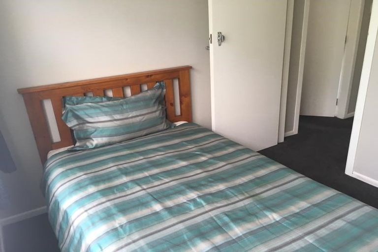 Photo of property in 44 Southsea Crescent, Silverdale, Hamilton, 3216