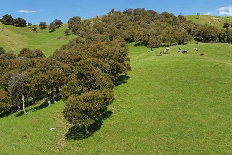 Photo of property in 455 Anaroa Road, Raukawa, Hastings, 4174