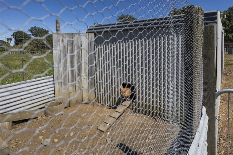 Photo of property in 728 Oroua Valley Road, Apiti, Feilding, 4777