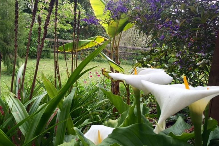 Photo of property in 365 Pungaere Road, Waipapa, Kerikeri, 0295