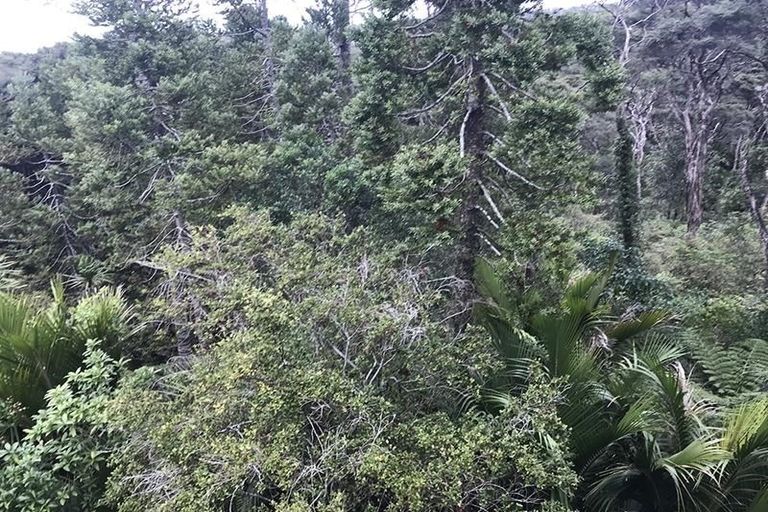 Photo of property in 57 Takahe Road, Titirangi, Auckland, 0604