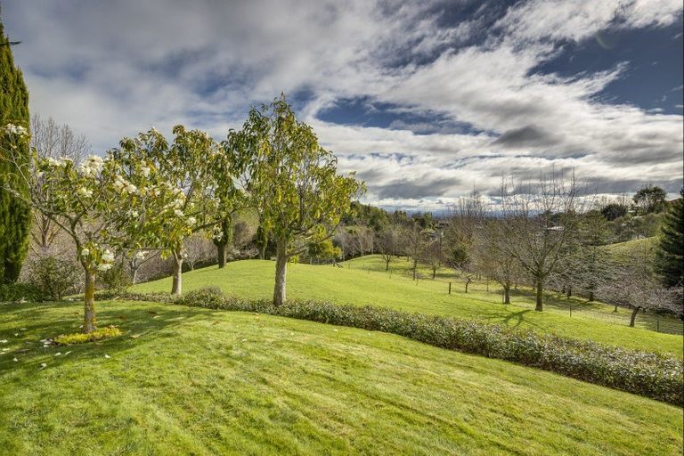 Photo of property in 125 Margaret Avenue, Havelock North, 4130