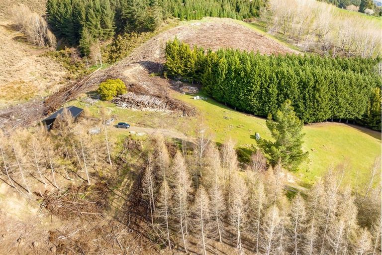 Photo of property in 238 Gladstone Road North, Mosgiel, 9024