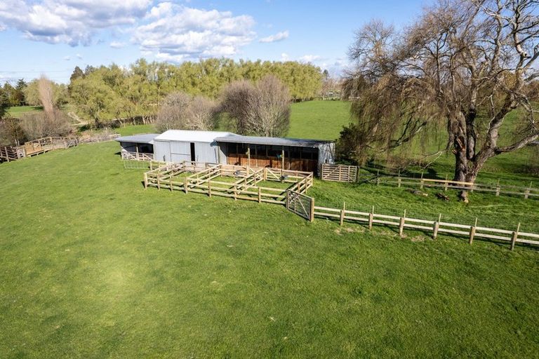 Photo of property in 369 Hautapu Road, Tamahere, Hamilton, 3283