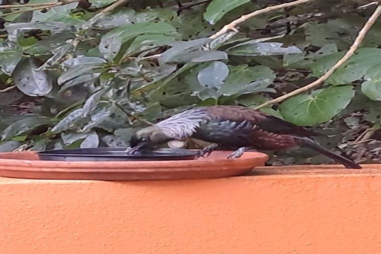 Photo of property in 72 Awarua Street, Ngaio, Wellington, 6035