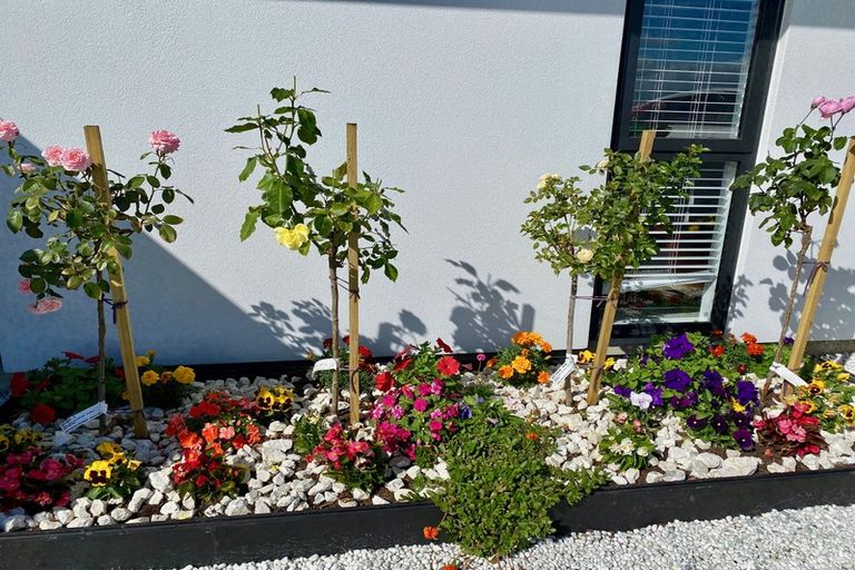 Photo of property in 158 Southfield Drive, Lincoln, 7608