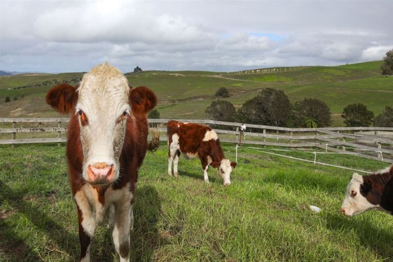 Photo of property in 520 Koheroa Road, Mercer, 2474