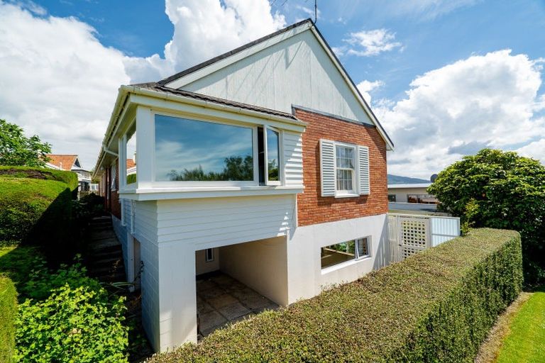 Photo of property in 3 Falcon Street, Roslyn, Dunedin, 9010