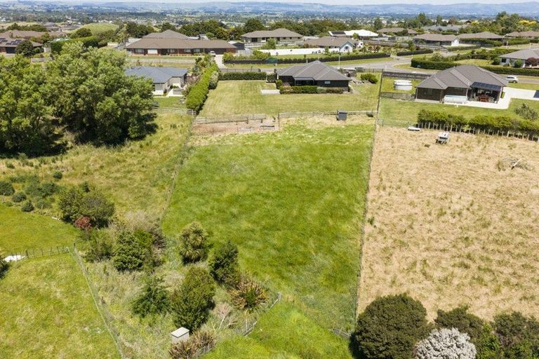 Photo of property in 115 Mount Taylor Drive, Feilding, 4775