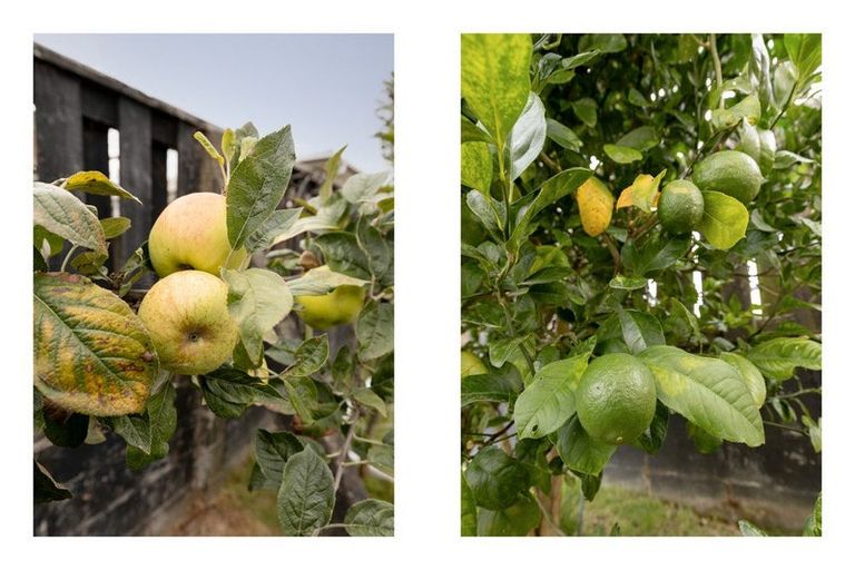 Photo of property in 154 James Street, Whakatane, 3120