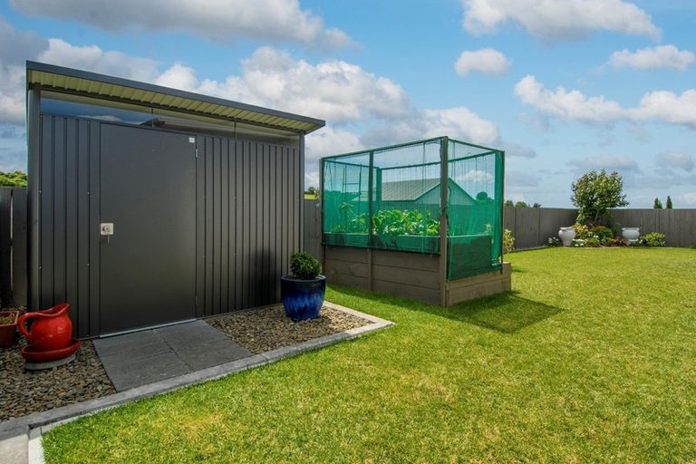 Photo of property in 3 Saint Michaels Avenue, Bethlehem, Tauranga, 3110