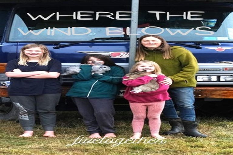 Photo of property in 2338 State Highway 65, Maruia, Reefton, 7895