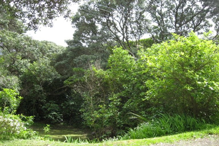Photo of property in 76 Garden Road, Piha, 0772