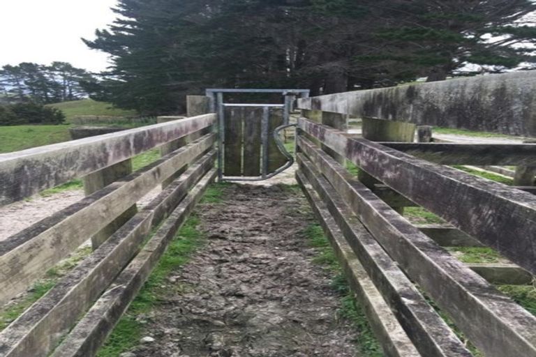 Photo of property in 48 Station Road, Pukekohe, 2120