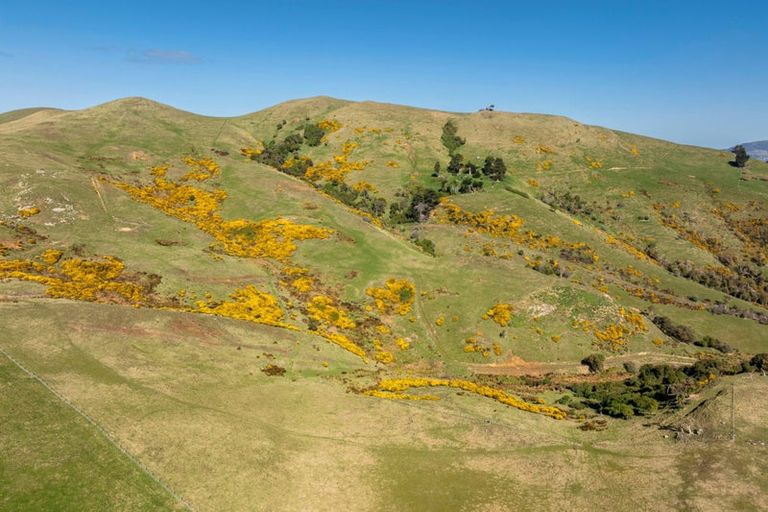 Photo of property in 452 Harington Point Road, Lower Portobello, Dunedin, 9077