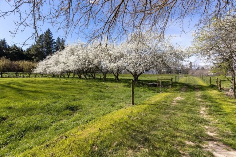 Photo of property in 105 River Road, Appleby, Richmond, 7081