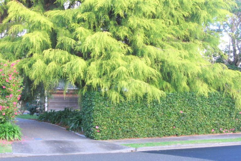 Photo of property in 36-38 Rata Street, Waikanae, 5036