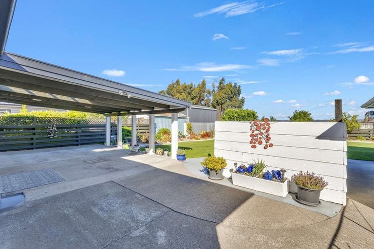 Photo of property in 40 Ferry Road, Spring Creek, 7202