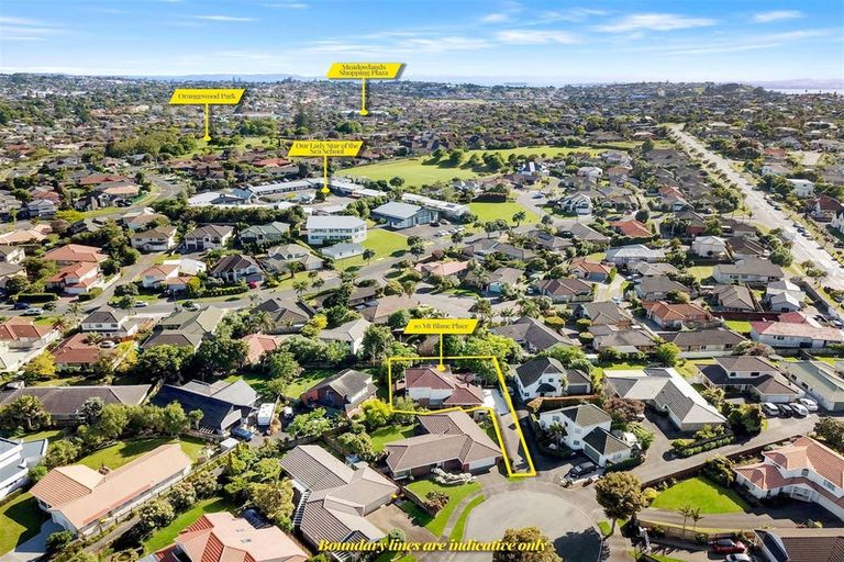 Photo of property in 10 Mt Blanc Place, Northpark, Auckland, 2013