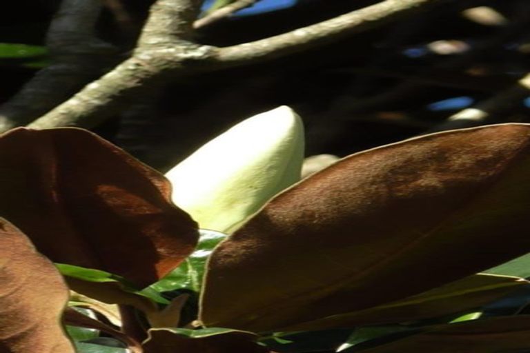 Photo of property in 72 Woodward Street East, Featherston, 5710