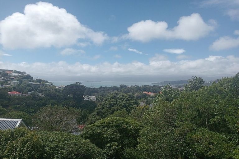 Photo of property in 25 Putnam Street, Northland, Wellington, 6012