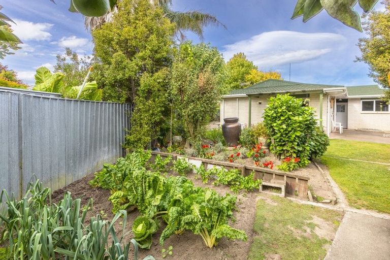 Photo of property in 13 Mckeefry Avenue, Greenmeadows, Napier, 4112