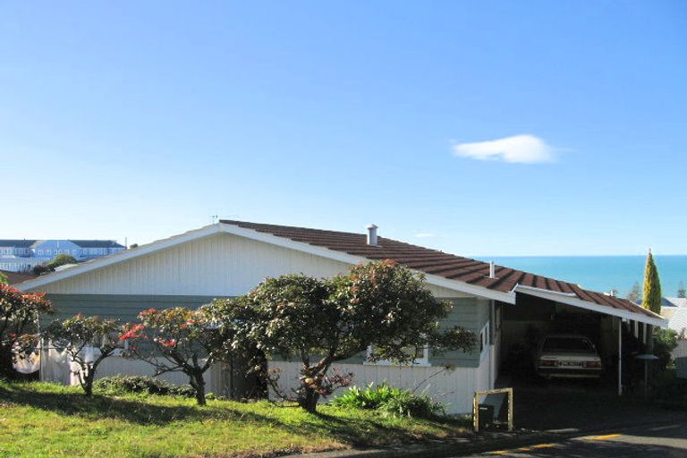 Photo of property in 12 Sealy Road, Bluff Hill, Napier, 4110