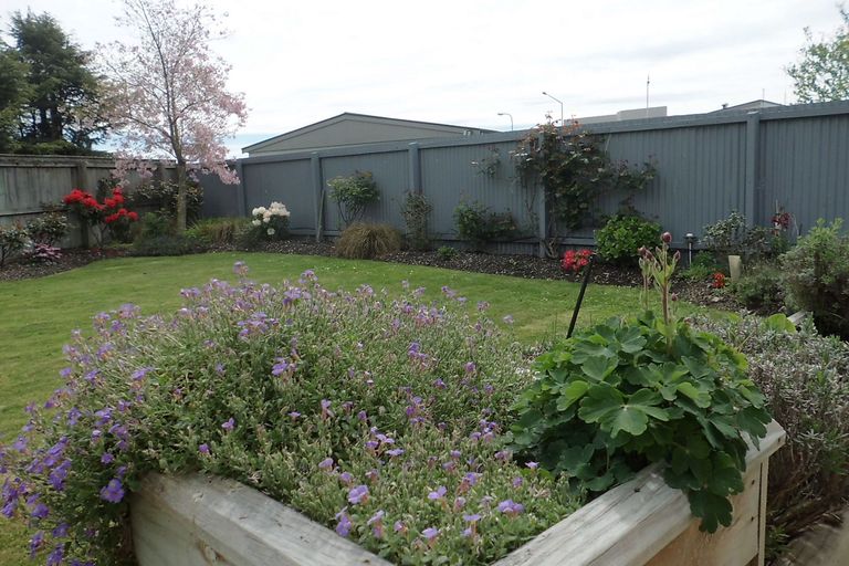 Photo of property in 22a Domain Avenue, Temuka, 7920