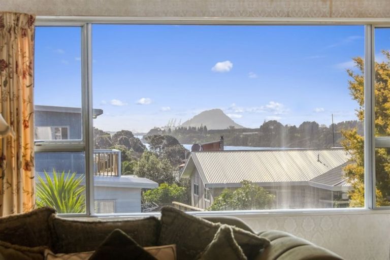 Photo of property in 21 Maihi Crescent, Maungatapu, Tauranga, 3112