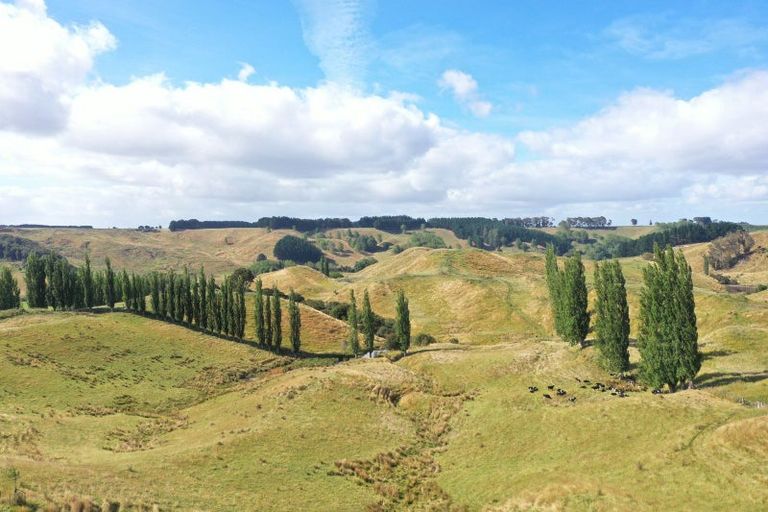 Photo of property in 3551 State Highway 1, Hunterville, 4784