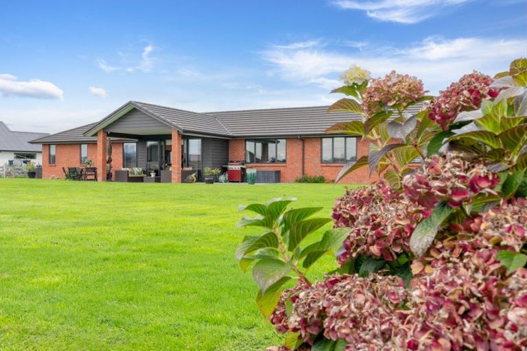 Photo of property in 43 Seachange Drive, Leamington, Cambridge, 3432