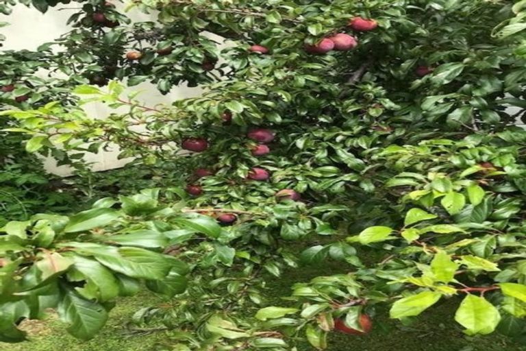 Photo of property in 15 Collins Street, Hawera, 4610