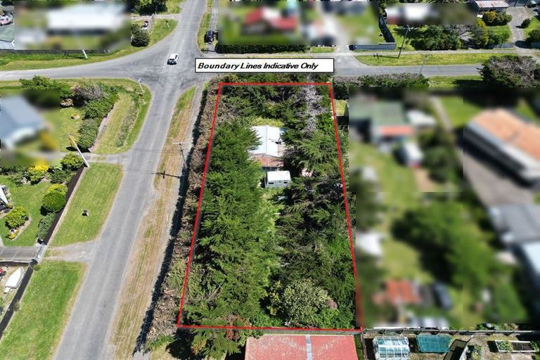 Photo of property in 4 Punga Street, Tangimoana, 4822