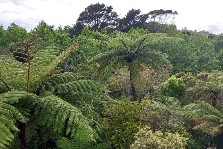 Photo of property in 68 Dorset Avenue, Lynmouth, New Plymouth, 4310