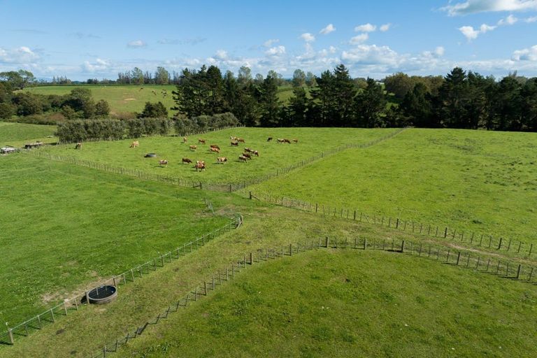 Photo of property in 1191 Old Te Aroha Road, Okauia, Matamata, 3471