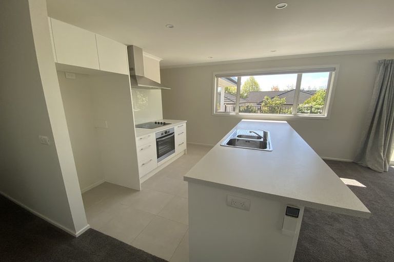 Photo of property in 8 Mellifera Place, Richmond, 7020