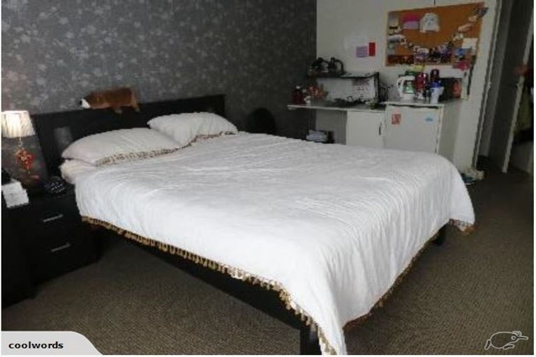 Photo of property in 15 Ethel Benjamin Place, North Dunedin, Dunedin, 9016