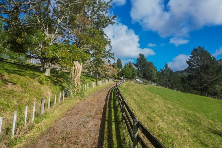 Photo of property in 555 Mill Creek Road, Kaimarama, Whitianga, 3591