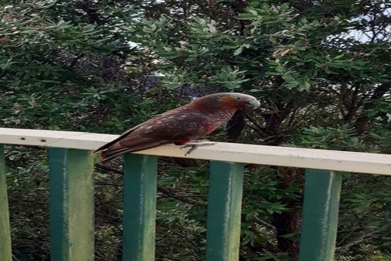 Photo of property in 138 Nicholson Road, Khandallah, Wellington, 6035