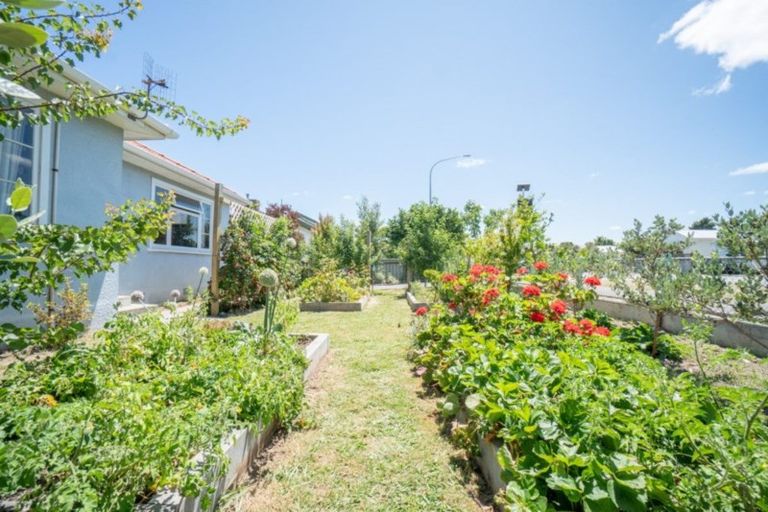 Photo of property in 244 Botanical Road, Takaro, Palmerston North, 4412