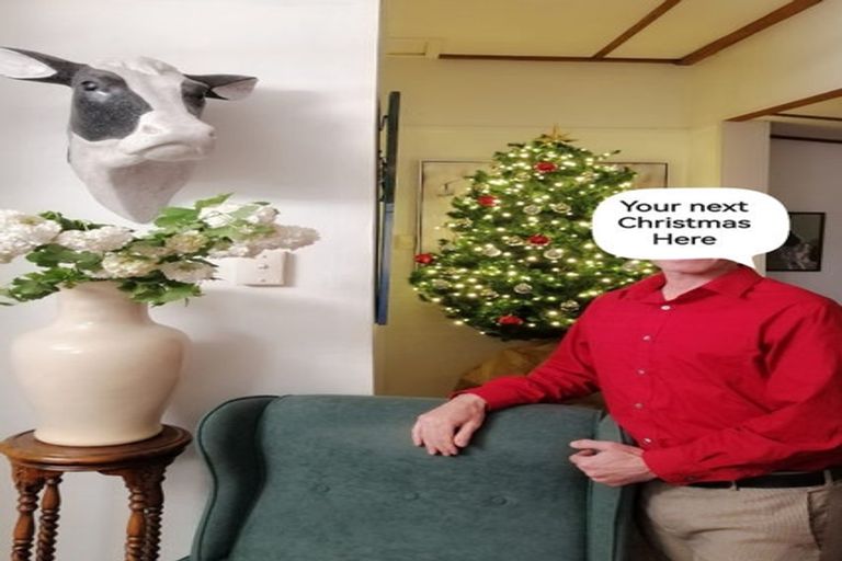 Photo of property in 165 Cambridge Street, Levin, 5510